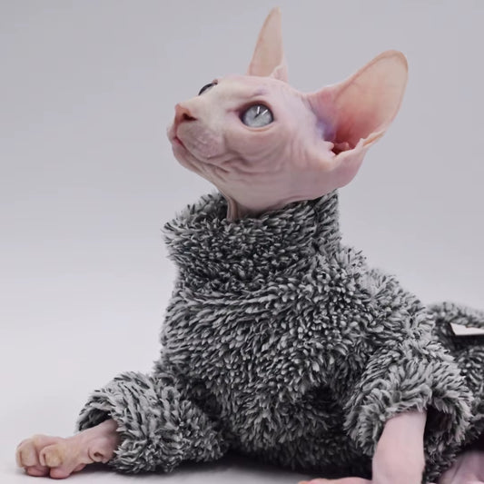Warm Autumn/Winter Cat Outfit – Hairless & Sphynx Cats