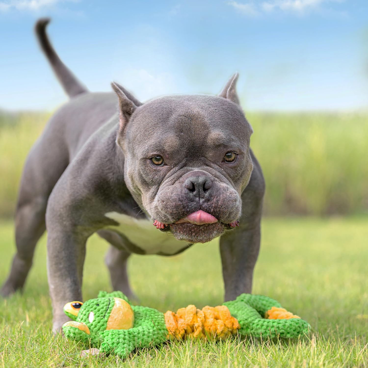 Interactive Squeaky Dog Toy - Stuffed Plush Puppy Toys