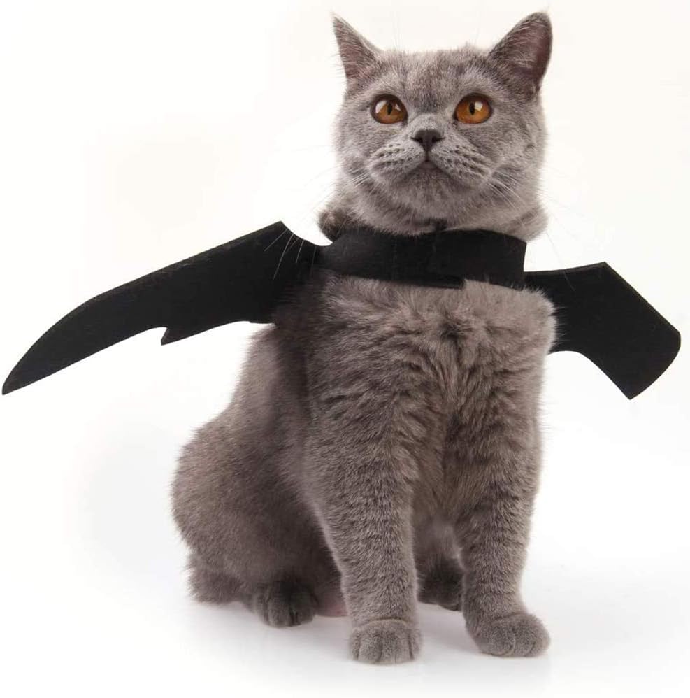 Halloween Pet Costume – Cute Kitten & Small Dog Outfit with Accessories