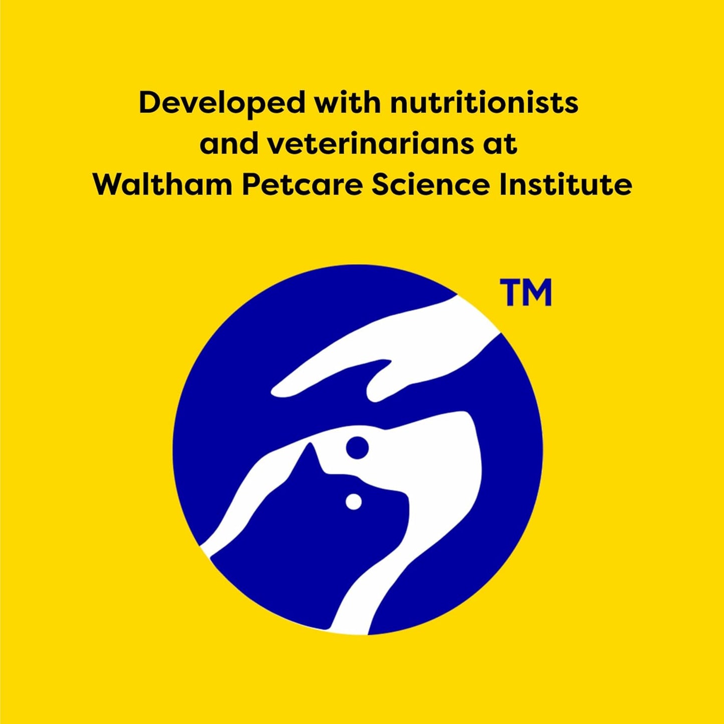 Mixups Catnip Fever Flavor Crunchy and Soft Cat Treats