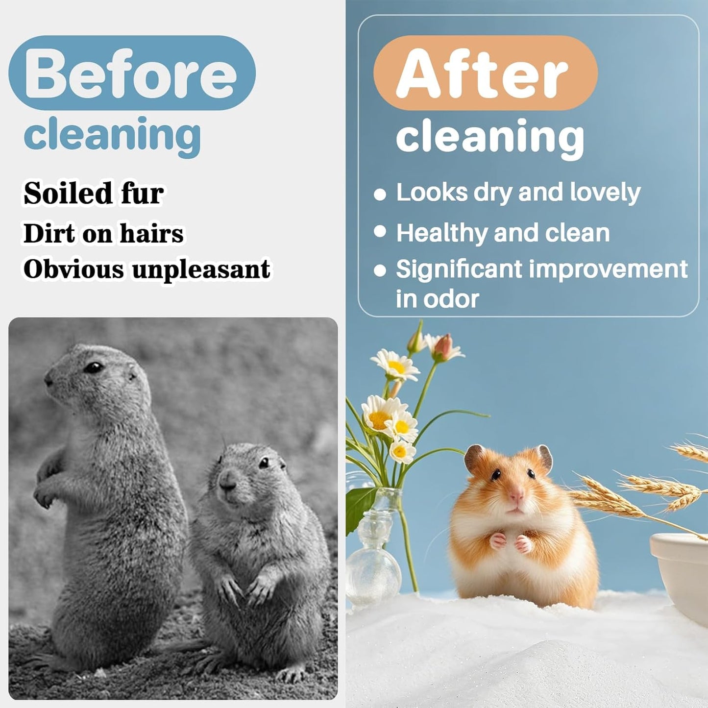 Hamster Bath Sand 15oz – Natural Dust-Free Sand for Hamster/Gerbil/Mice  Cleaning & Grooming