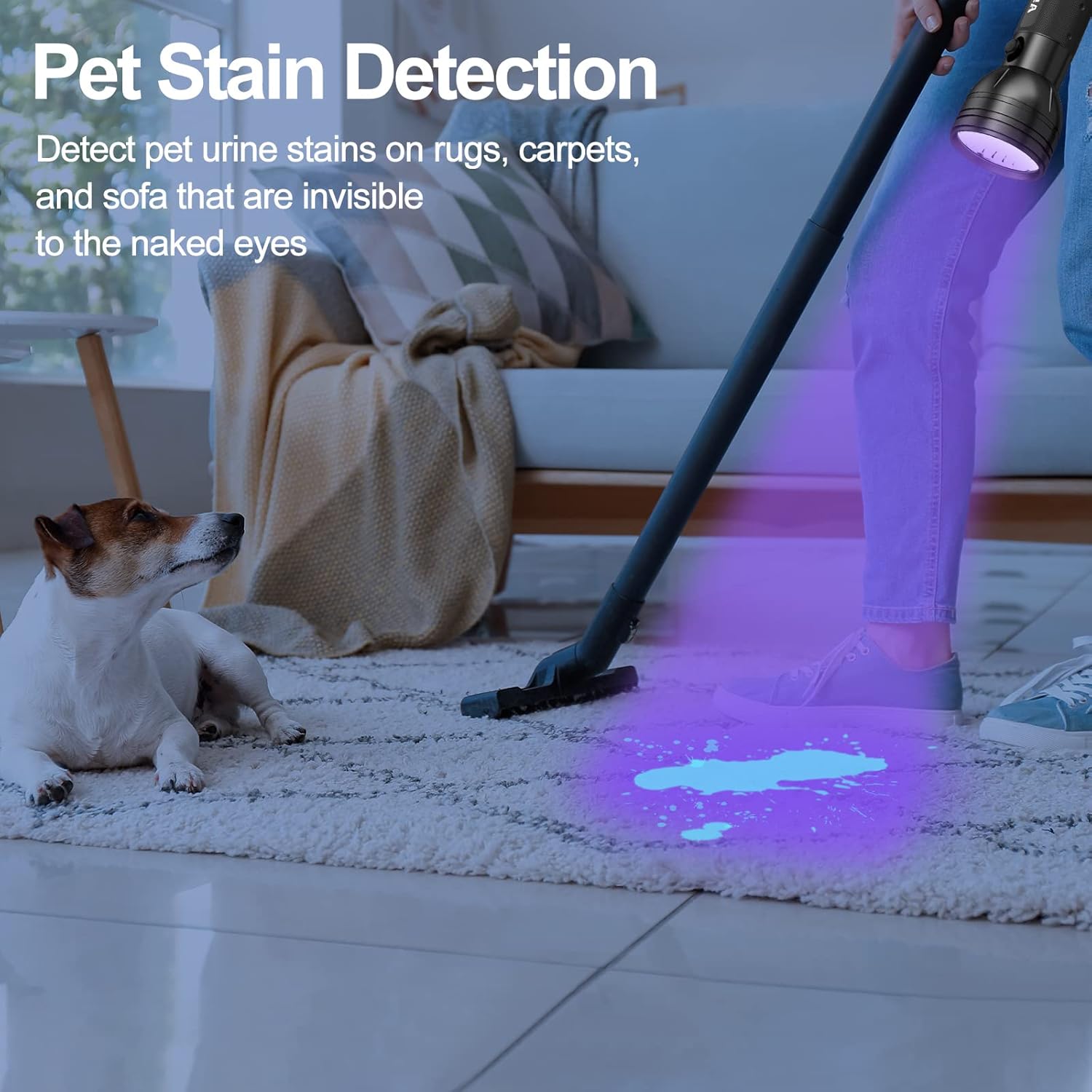 UV Blacklight Flashlight – 51 LED Pet Urine & Stain Detector for Dogs & Cats, Bed Bugs, Scorpions, and Resin Curing
