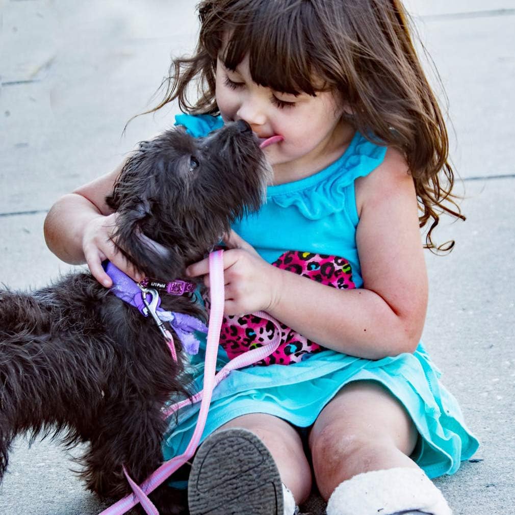 Portable  Kennel Cage  - Dogs and Cats (Foldable Cage)
