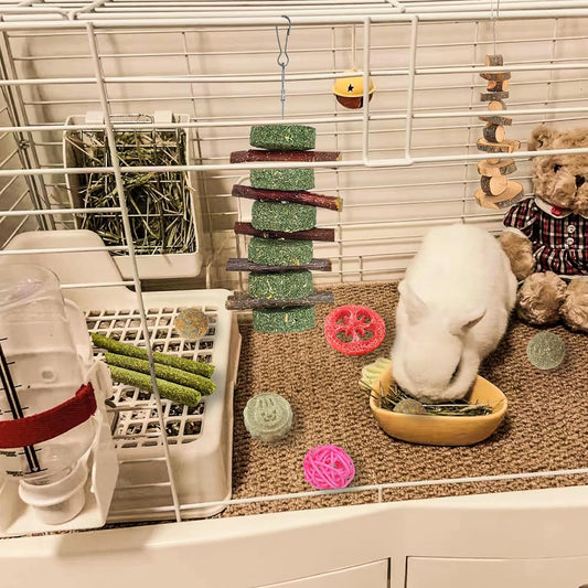 20-Piece Natural Bunny & Small Pet Chew Toy Set – Timothy Sticks & Apple Wood for Rabbits, Guinea Pigs, Hamsters, Chinchillas