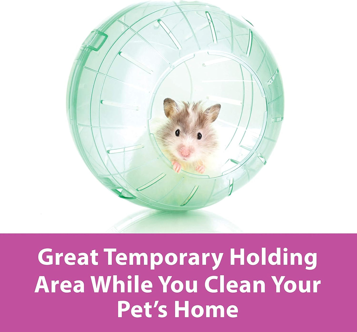 Clear Hamster Exercise Ball 7-Inch – Safe & Durable Running Ball for Hamsters, Gerbils & Small Pets