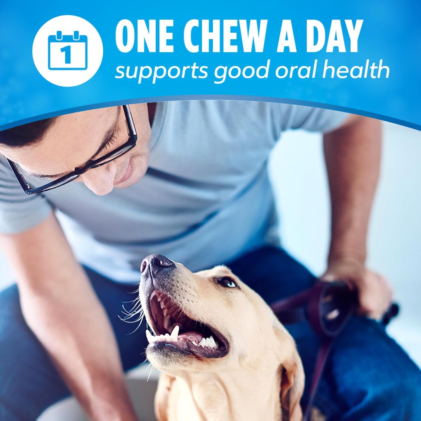 Dog Dental Chews - 1 Daily