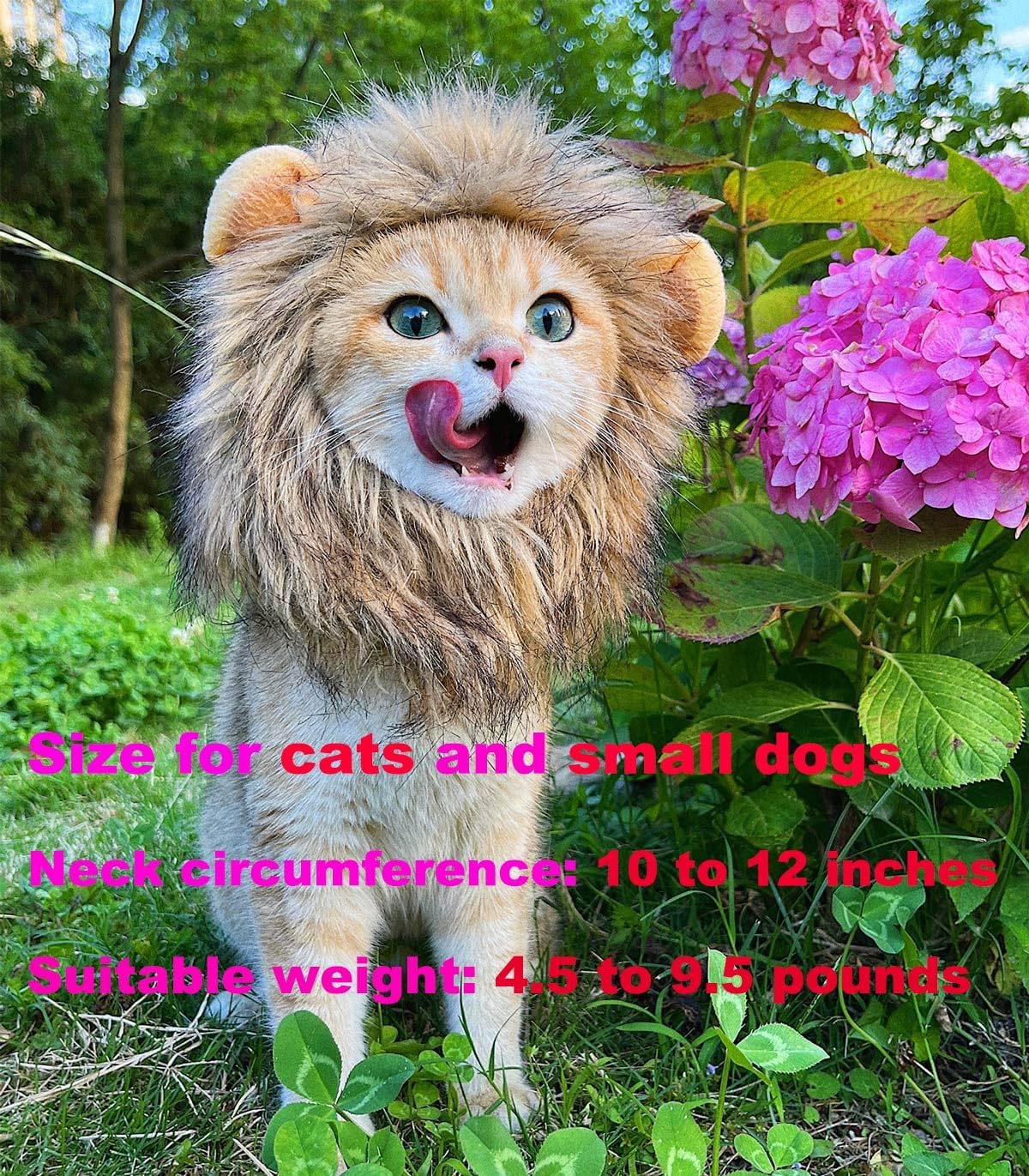 Adjustable Pet Bow Tie Collar for Dogs & Cats – Cute Lion Halloween or Christmas Costume Accessory with Comfortable Fit