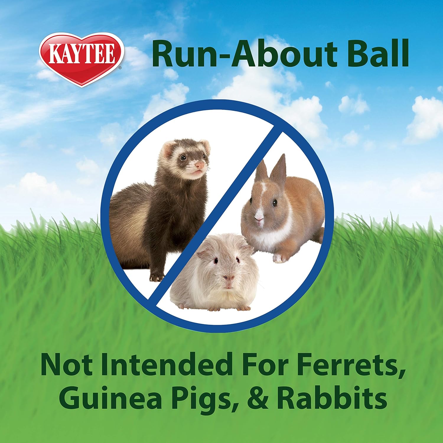 Clear Hamster Exercise Ball 7-Inch – Safe & Durable Running Ball for Hamsters, Gerbils & Small Pets