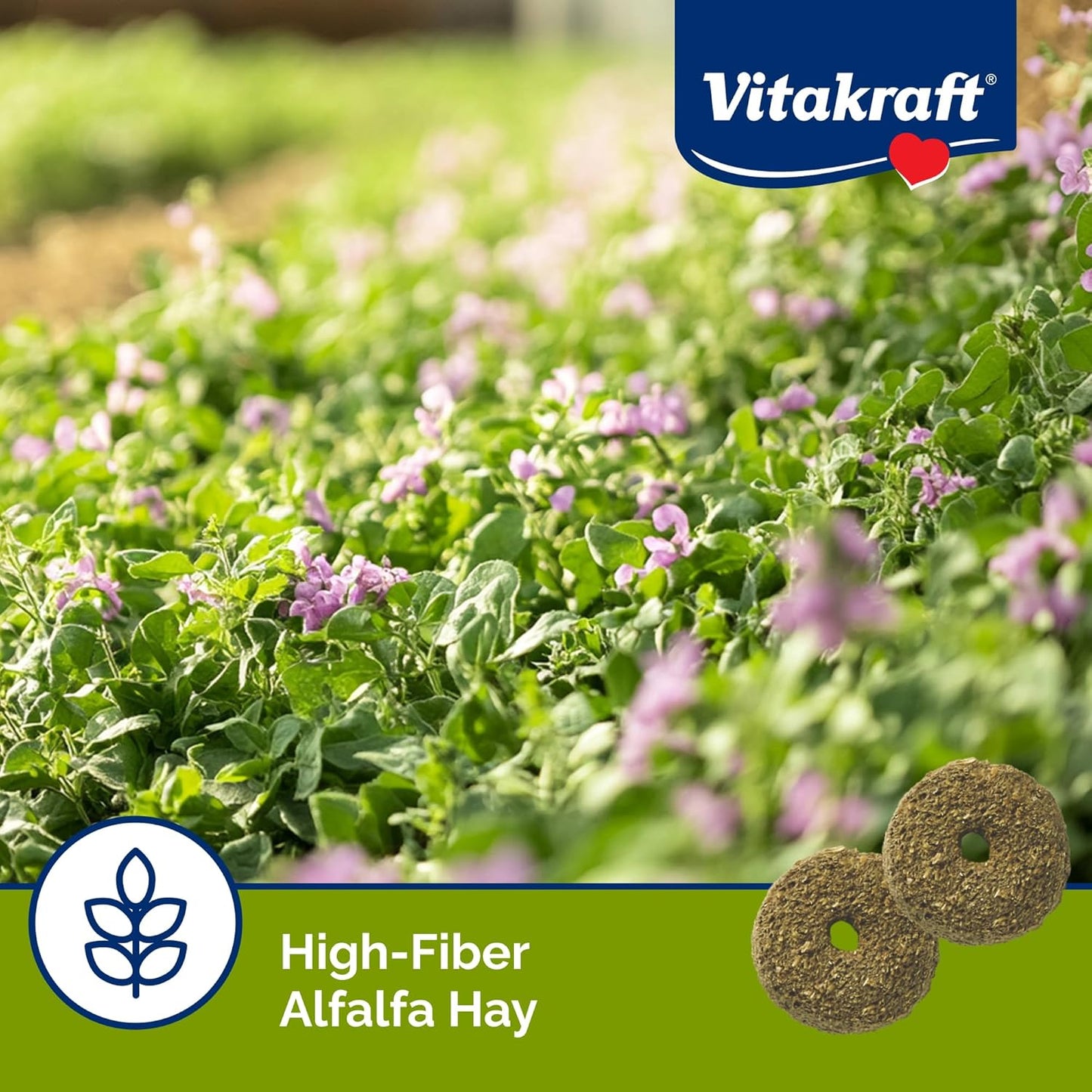 Nibble Rings Small Animal Treats - Crunchy Alfalfa Snack - for Rabbits, Guinea Pigs, Hamsters, and More