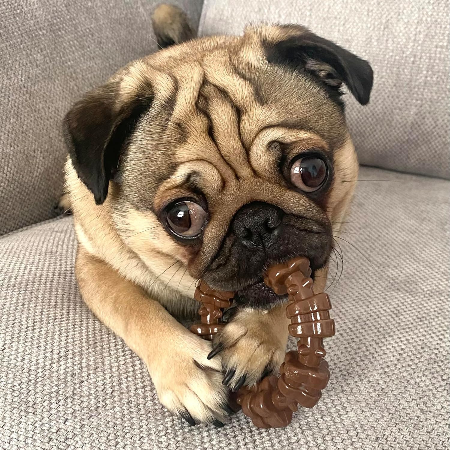 Tough Dog Toys for Aggressive Chewers - Toy Set