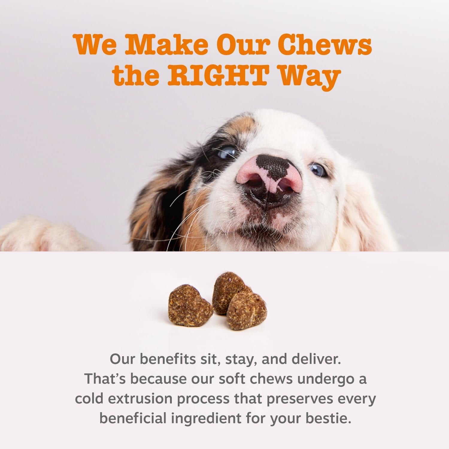 Dog Allergy Relief Soft Chews – Anti-Itch, Omega-3 & Probiotics for Skin & Digestive Health, Seasonal Allergy Support