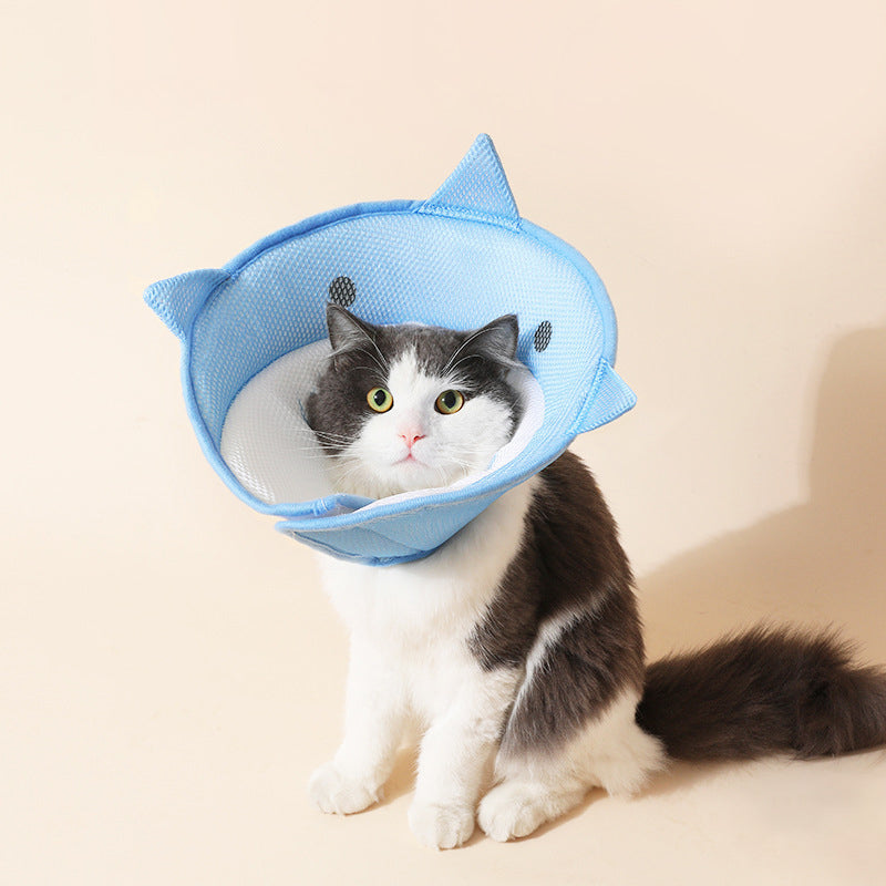 Soft Cat Recovery Collar – Comfortable Elizabethan Cone for Healing & Protection