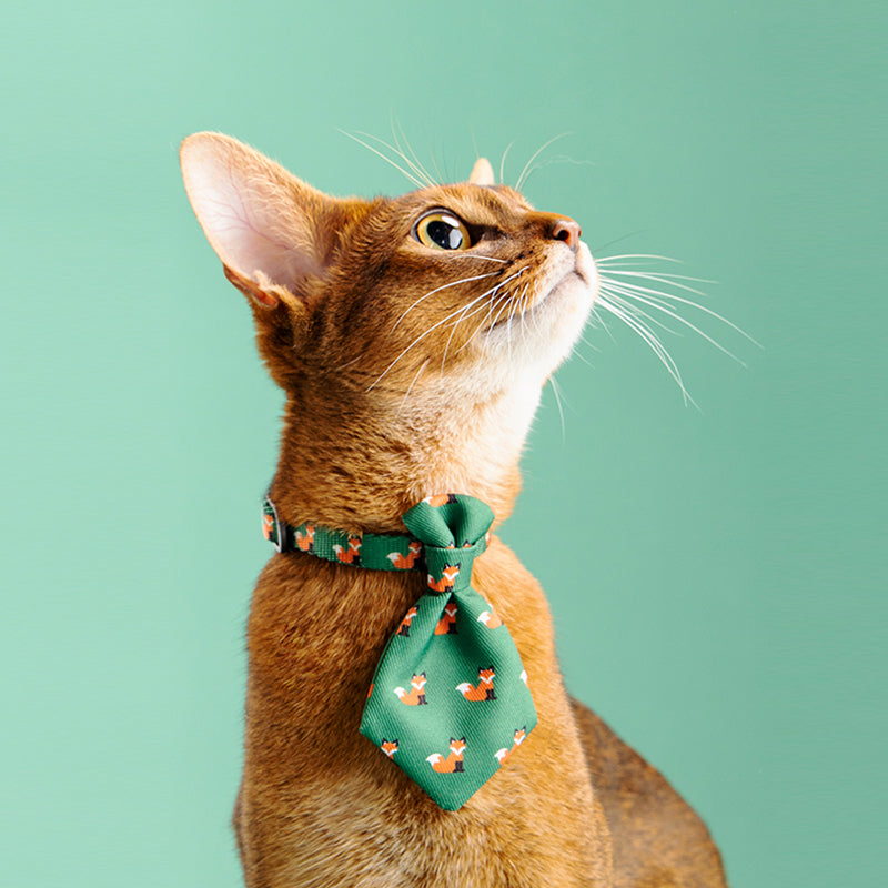 Adjustable Gentleman Collar with Tie – Formal Pet Accessory