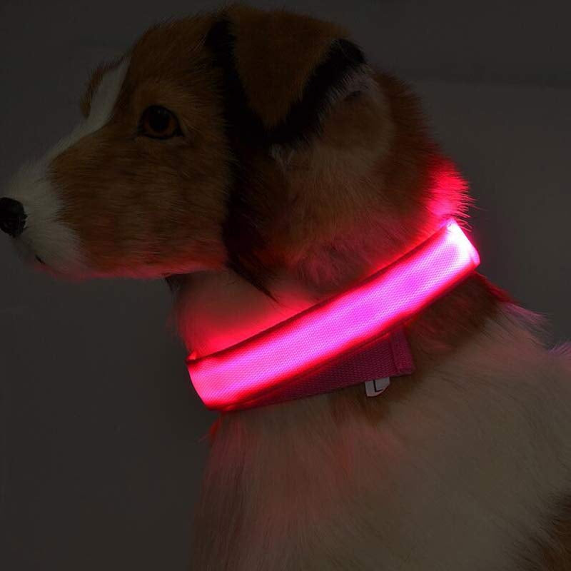 LED Safety Glow Collar – USB Rechargeable Night Light Pet Collar
