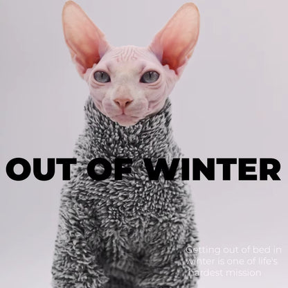Warm Autumn/Winter Cat Outfit – Hairless & Sphynx Cats