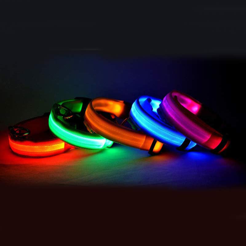 LED Safety Glow Collar – USB Rechargeable Night Light Pet Collar