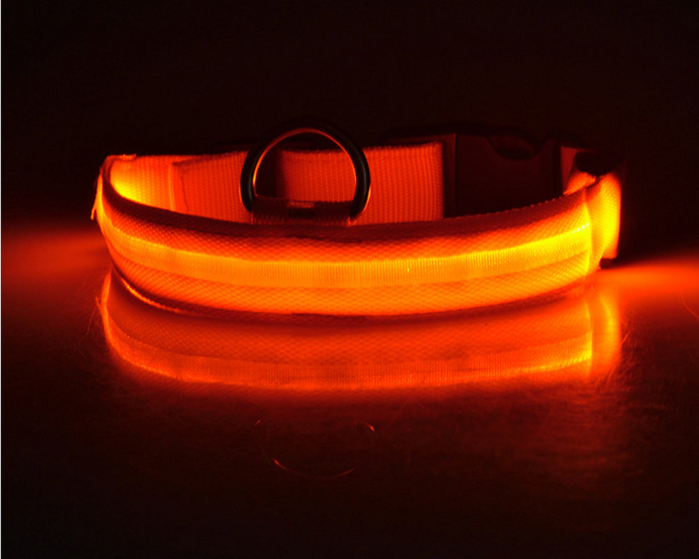 LED Safety Glow Collar – USB Rechargeable Night Light Pet Collar