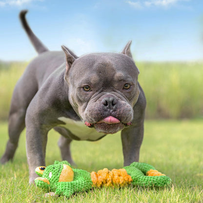 Interactive Squeaky Dog Toy - Stuffed Plush Puppy Toys 