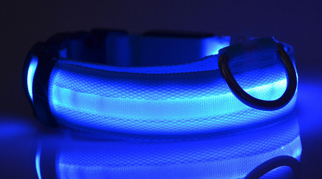 LED Safety Glow Collar – USB Rechargeable Night Light Pet Collar