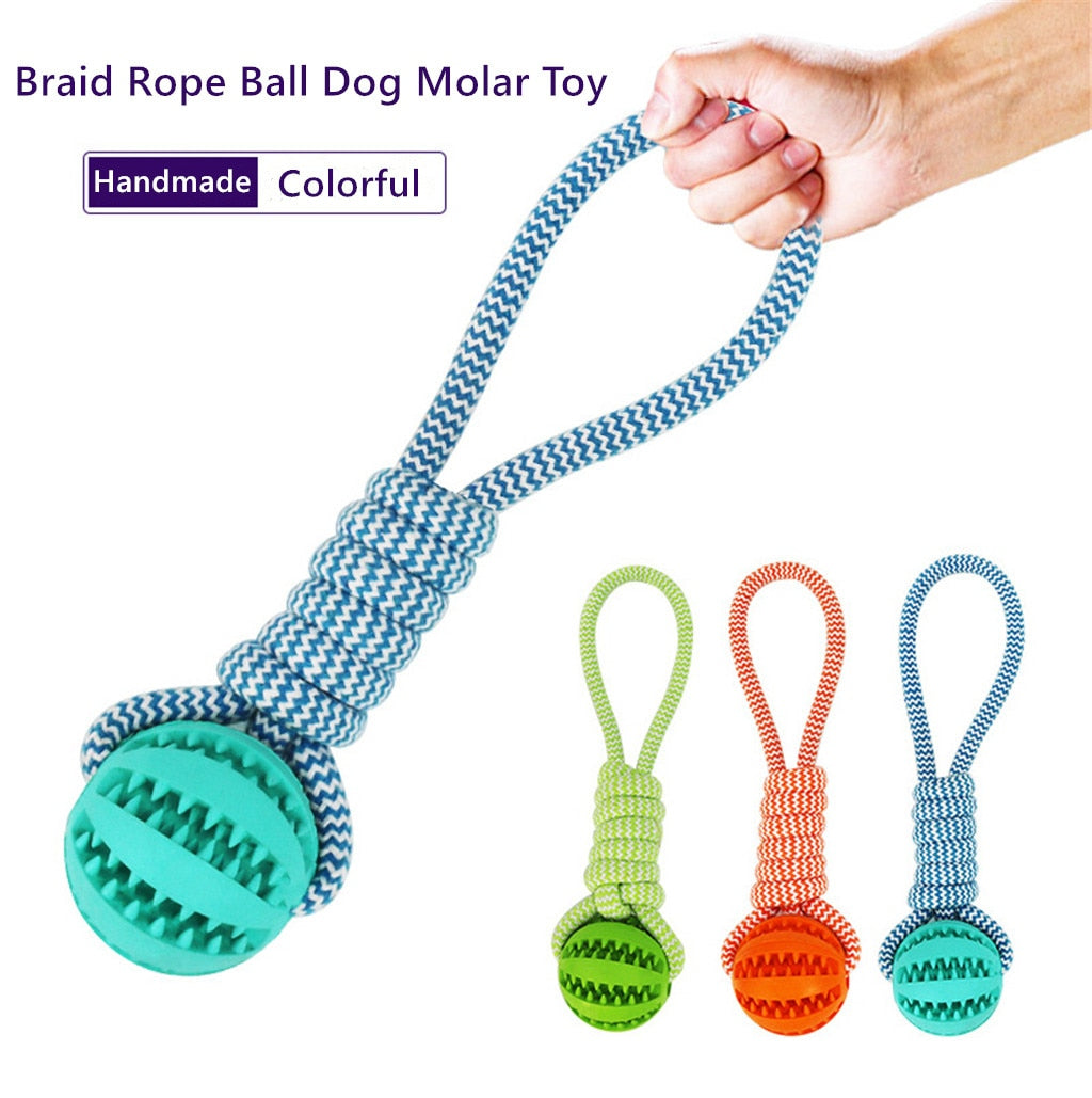 Interactive Treat-Dispensing Rubber Dog Ball with Rope