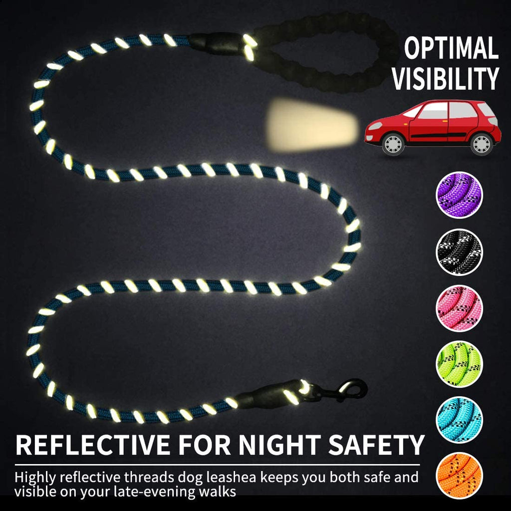 LED Luminous  Leash – Night Safety Light-Up Walking Lead for Small & Medium Pets