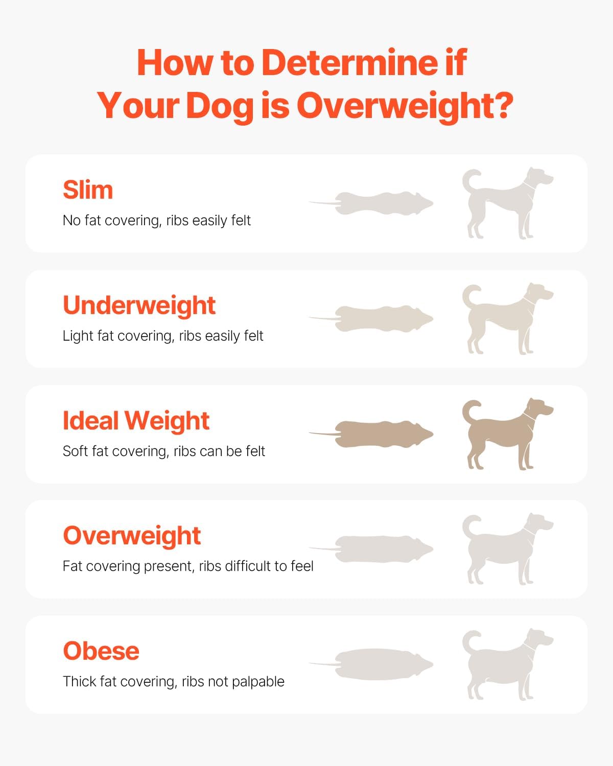 VEVOR Dog Treadmill – Adjustable Electric Pet Treadmill for Small to Large Dogs