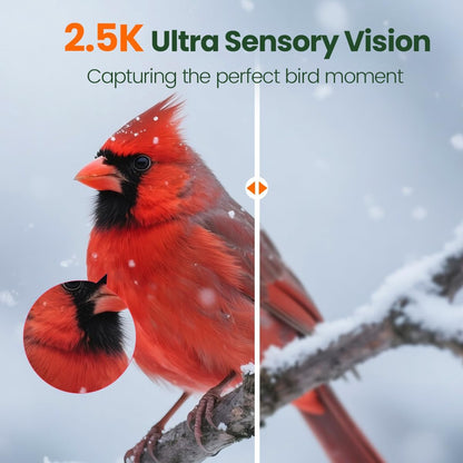 Smart Bird Feeder – Solar & Battery-Powered, 4000mAh, Automatic Food Dispensing with LED Indicator