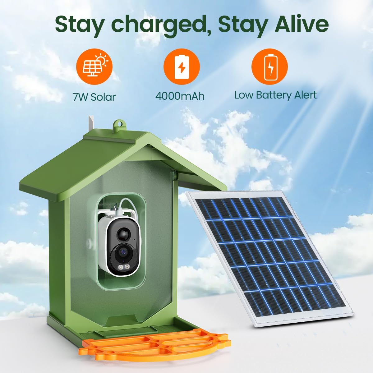 Smart Bird Feeder – Solar & Battery-Powered, 4000mAh, Automatic Food Dispensing with LED Indicator
