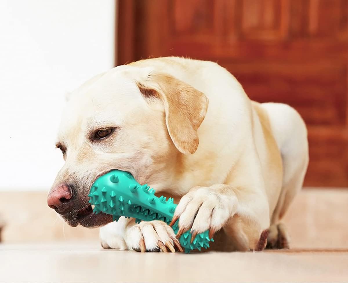 Squeaky Puppy Teething Chew Toys / Dog Toys for Aggressive Chewers - Durable Toothbrush Toys