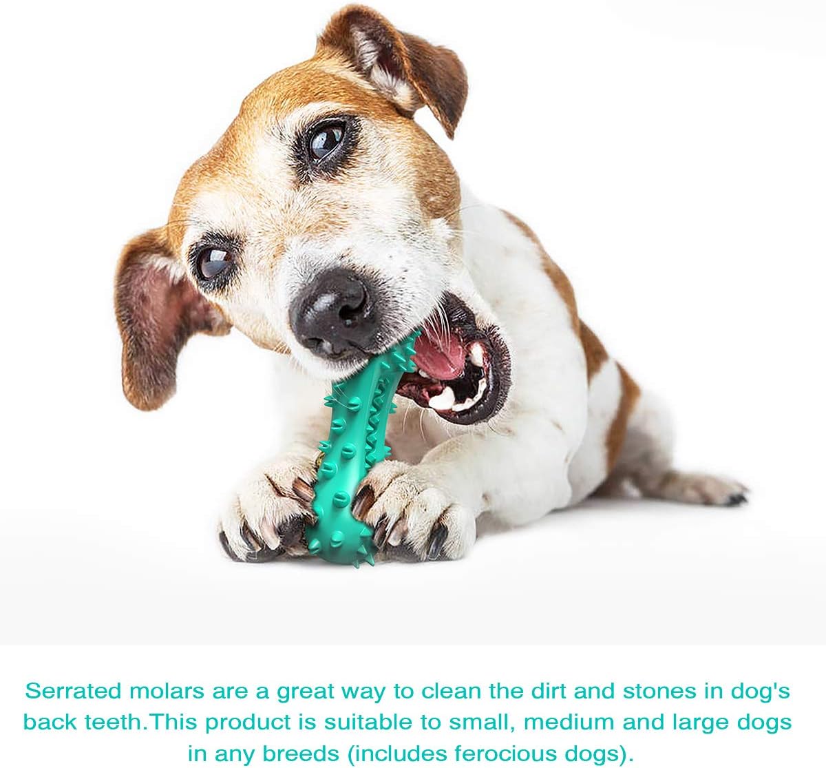 Squeaky Puppy Teething Chew Toys / Dog Toys for Aggressive Chewers - Durable Toothbrush Toys