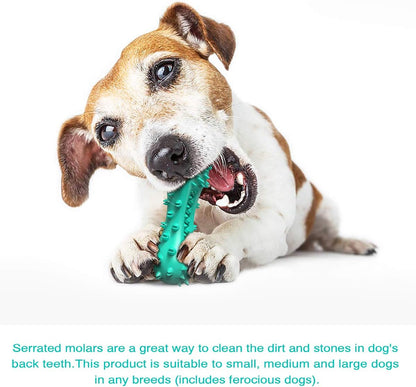 Squeaky Puppy Teething Chew Toys / Dog Toys for Aggressive Chewers - Durable Toothbrush Toys