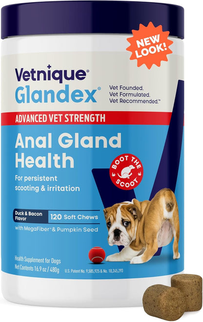 Glandex Dog Soft Chew Treats – Anal Gland Health, Digestive Enzymes & Probiotics, Pumpkin Fiber Supplement, Advanced