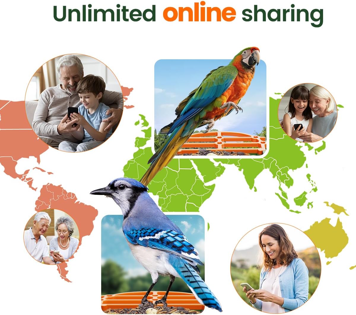 Smart Bird Feeder – Solar & Battery-Powered, 4000mAh, Automatic Food Dispensing with LED Indicator