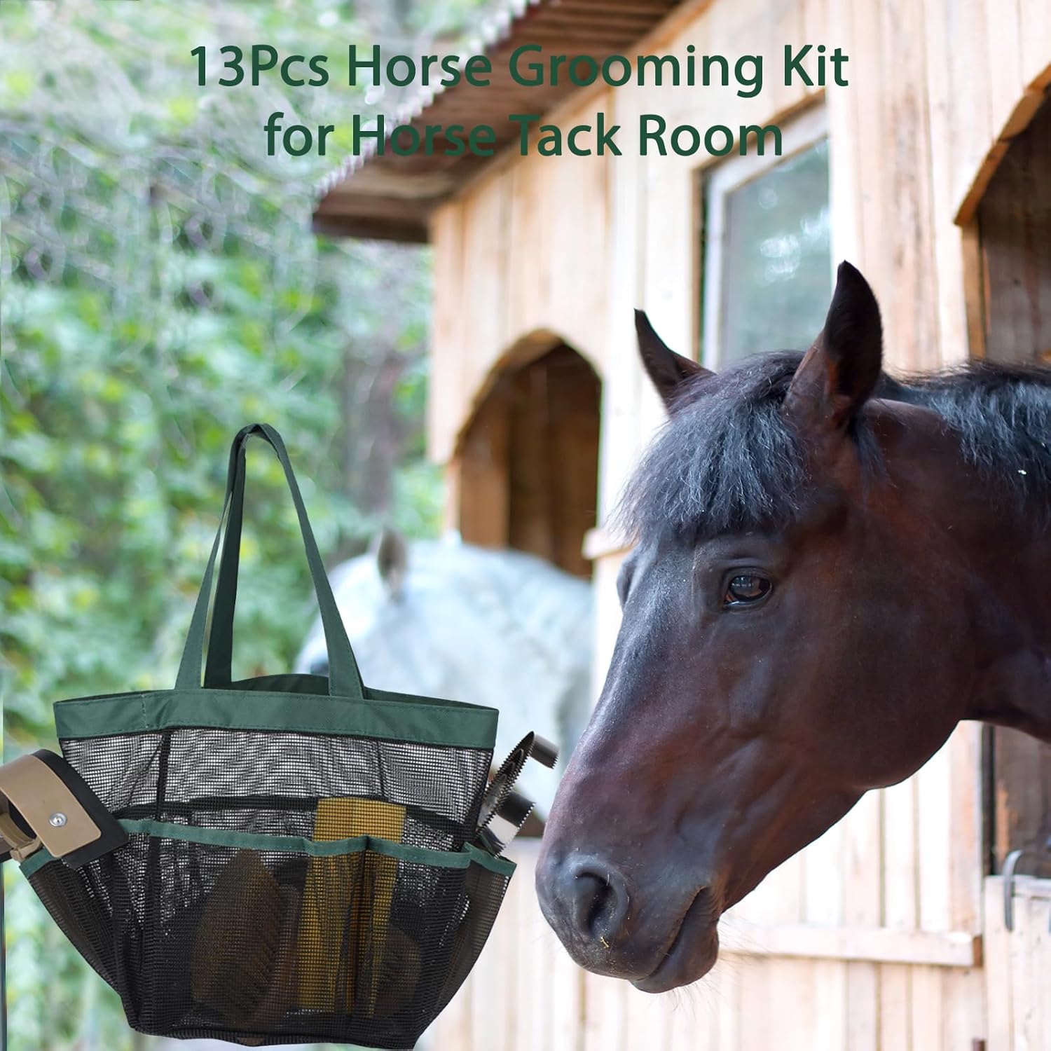 Horse Grooming Kit – Complete Organizer Set for Horses & Ponies, Beginner-Friendly