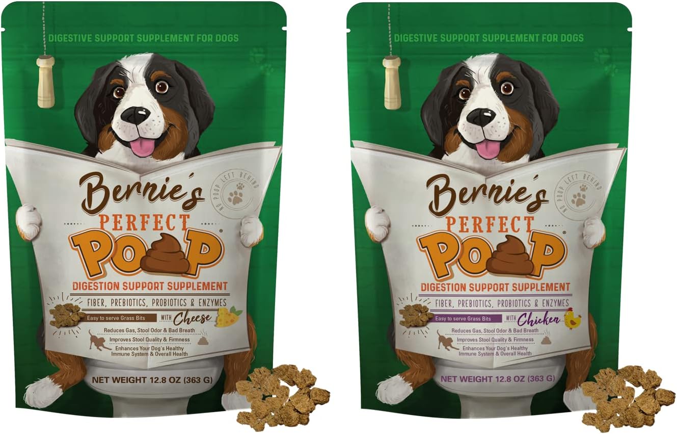 Dog Digestive Health Supplement – Fiber, Prebiotics, Probiotics & Enzymes for Healthy Digestion, Firm Stools & Overall Wellness