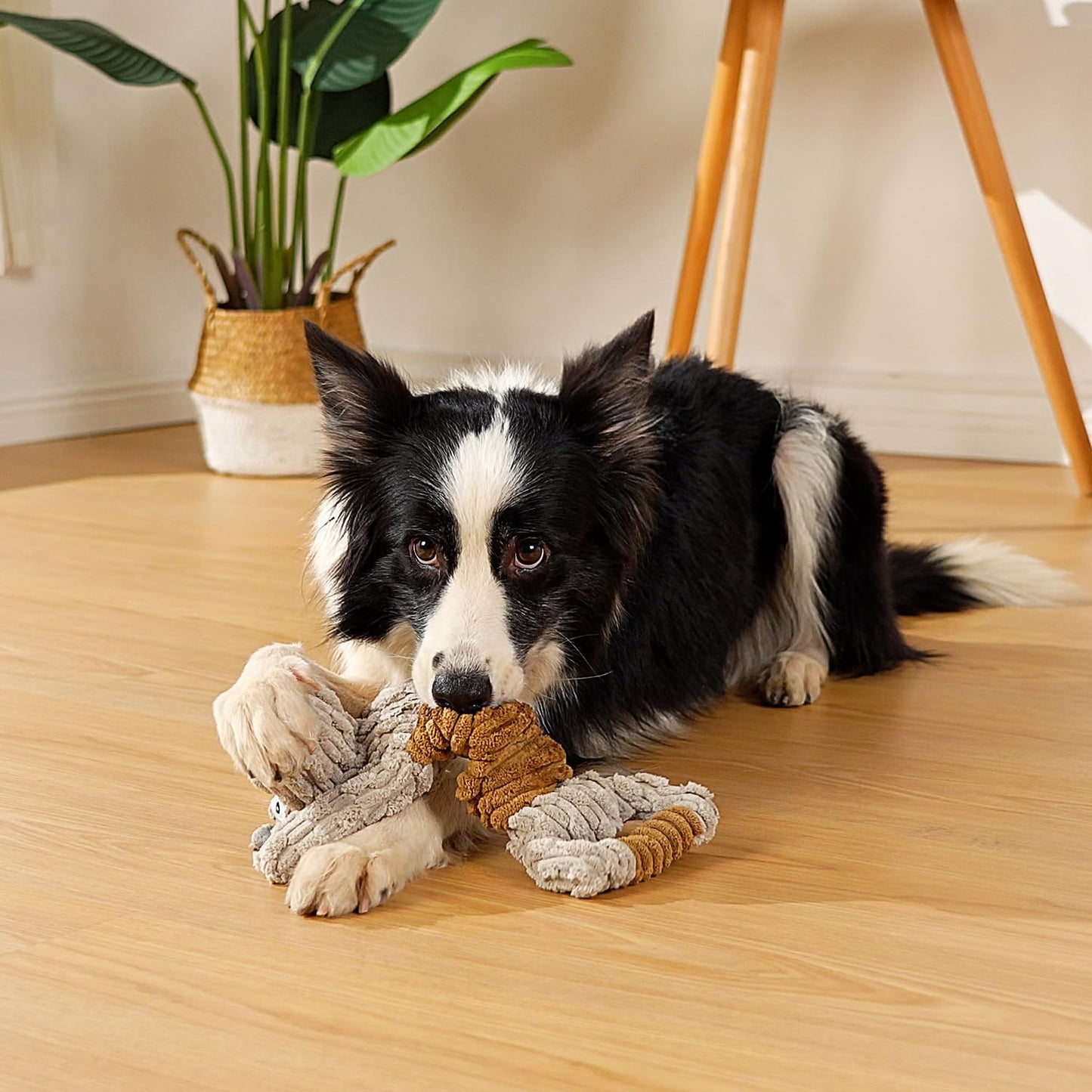 Interactive Squeaky Dog Toy - Stuffed Plush Puppy Toys 