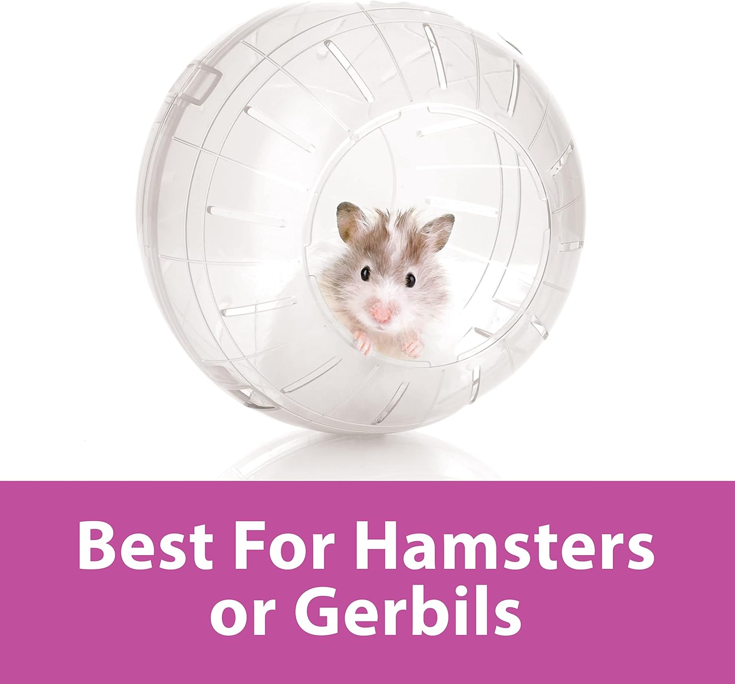 Clear Hamster Exercise Ball 7-Inch – Safe & Durable Running Ball for Hamsters, Gerbils & Small Pets
