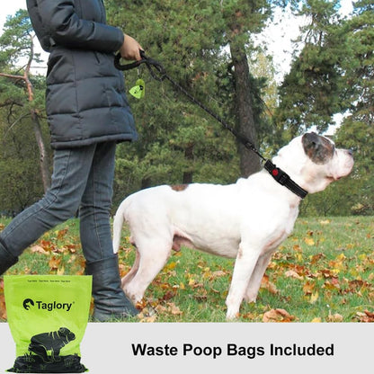 Rope Dog Leash 4 FT with Comfortable Padded Handle, Highly Reflective Threads Leash for Medium Large Dogs, 1/2 Inch, Black