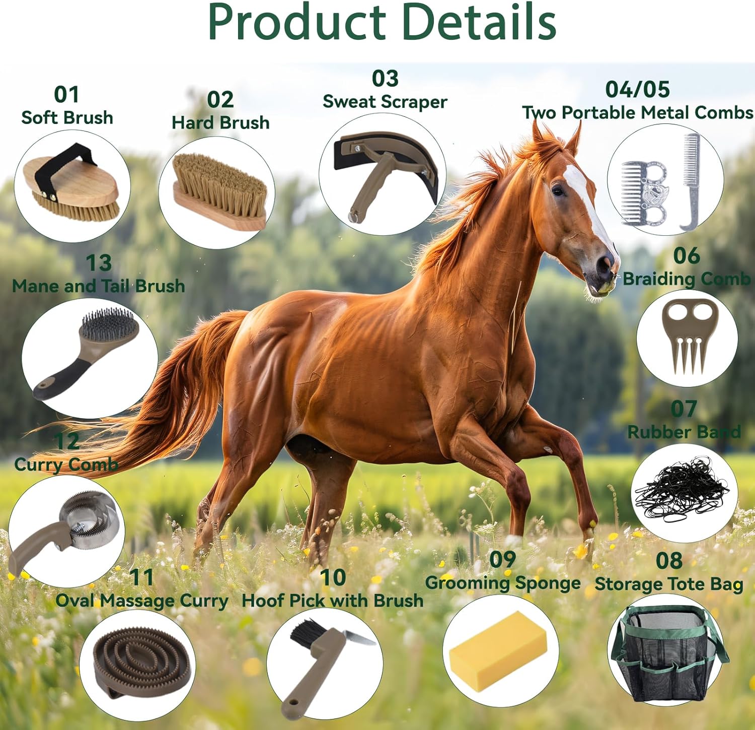 Horse Grooming Kit – Complete Organizer Set for Horses & Ponies, Beginner-Friendly