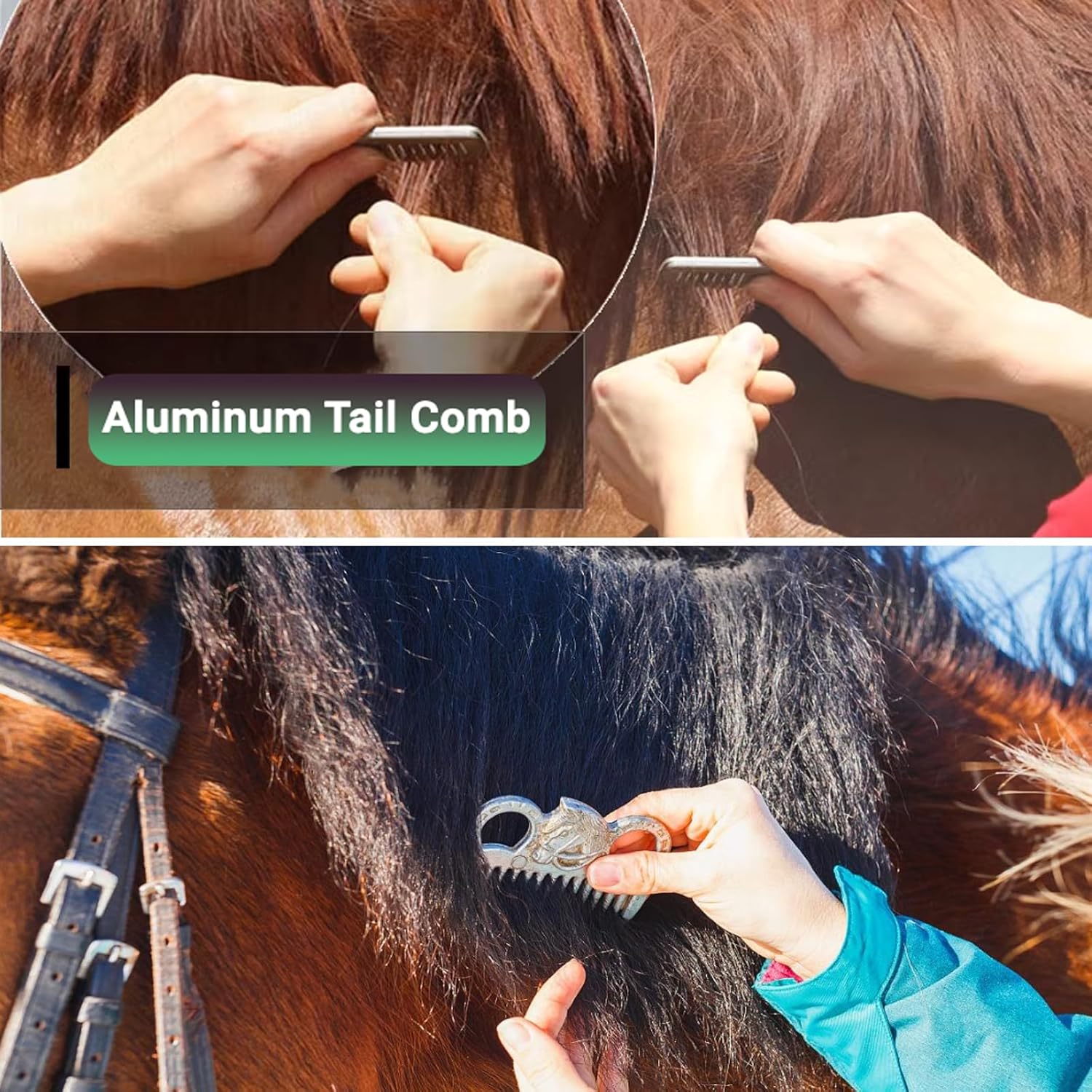 Horse Grooming Kit – Complete Organizer Set for Horses & Ponies, Beginner-Friendly