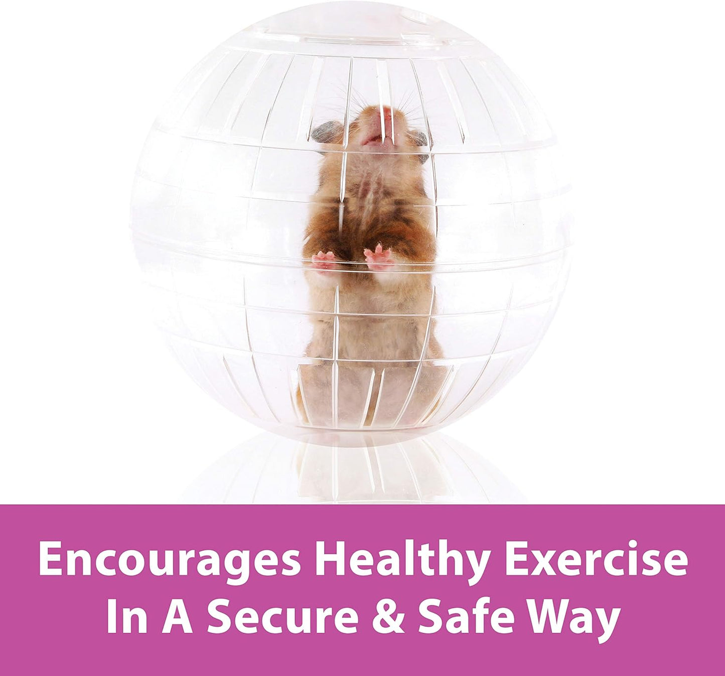 Clear Hamster Exercise Ball 7-Inch – Safe & Durable Running Ball for Hamsters, Gerbils & Small Pets
