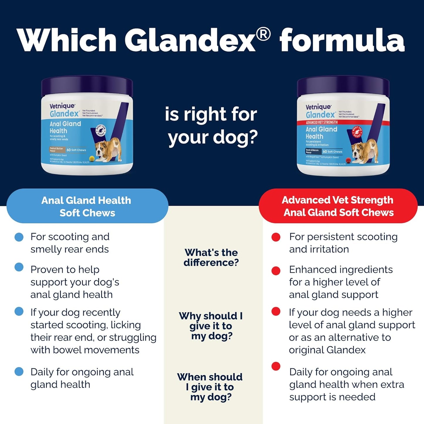 Glandex Dog Soft Chew Treats – Anal Gland Health, Digestive Enzymes & Probiotics, Pumpkin Fiber Supplement, Advanced