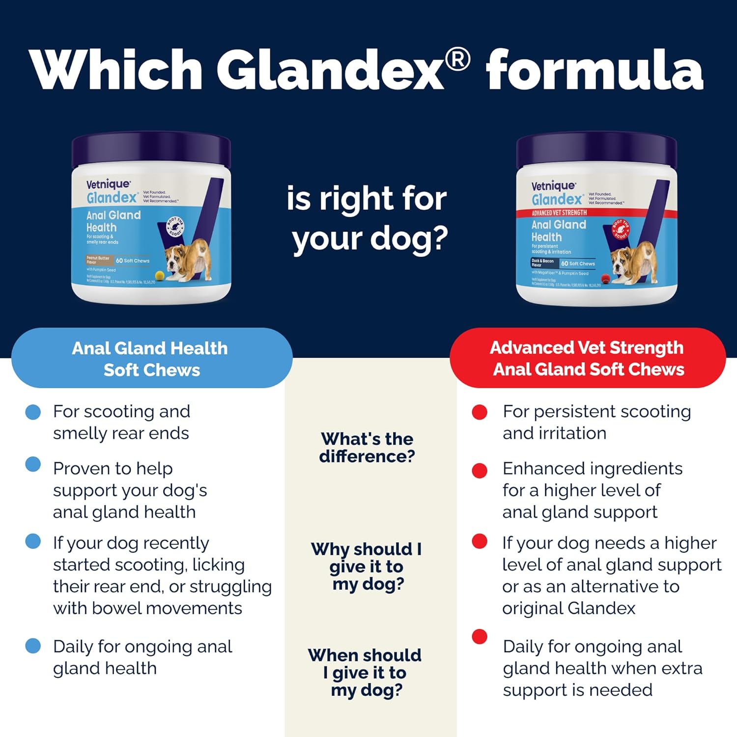 Glandex Dog Soft Chew Treats – Anal Gland Health, Digestive Enzymes & Probiotics, Pumpkin Fiber Supplement, Advanced