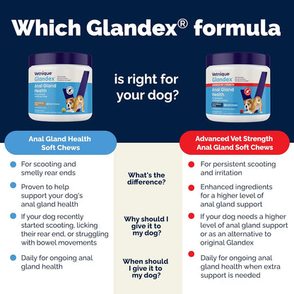 Glandex Dog Soft Chew Treats – Anal Gland Health, Digestive Enzymes & Probiotics, Pumpkin Fiber Supplement, Advanced