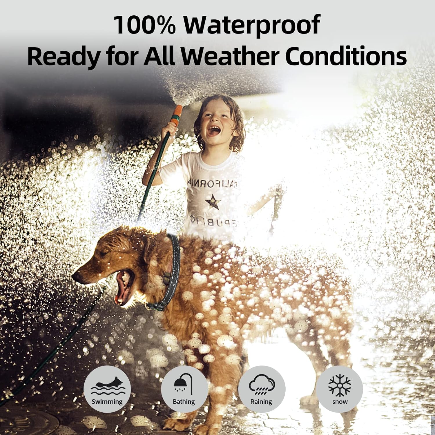 Rechargeable Dog Bark Collar – Adjustable Sensitivity, Beep, Vibration & Safe Shock Training Collar for Small, Medium & Large Dogs