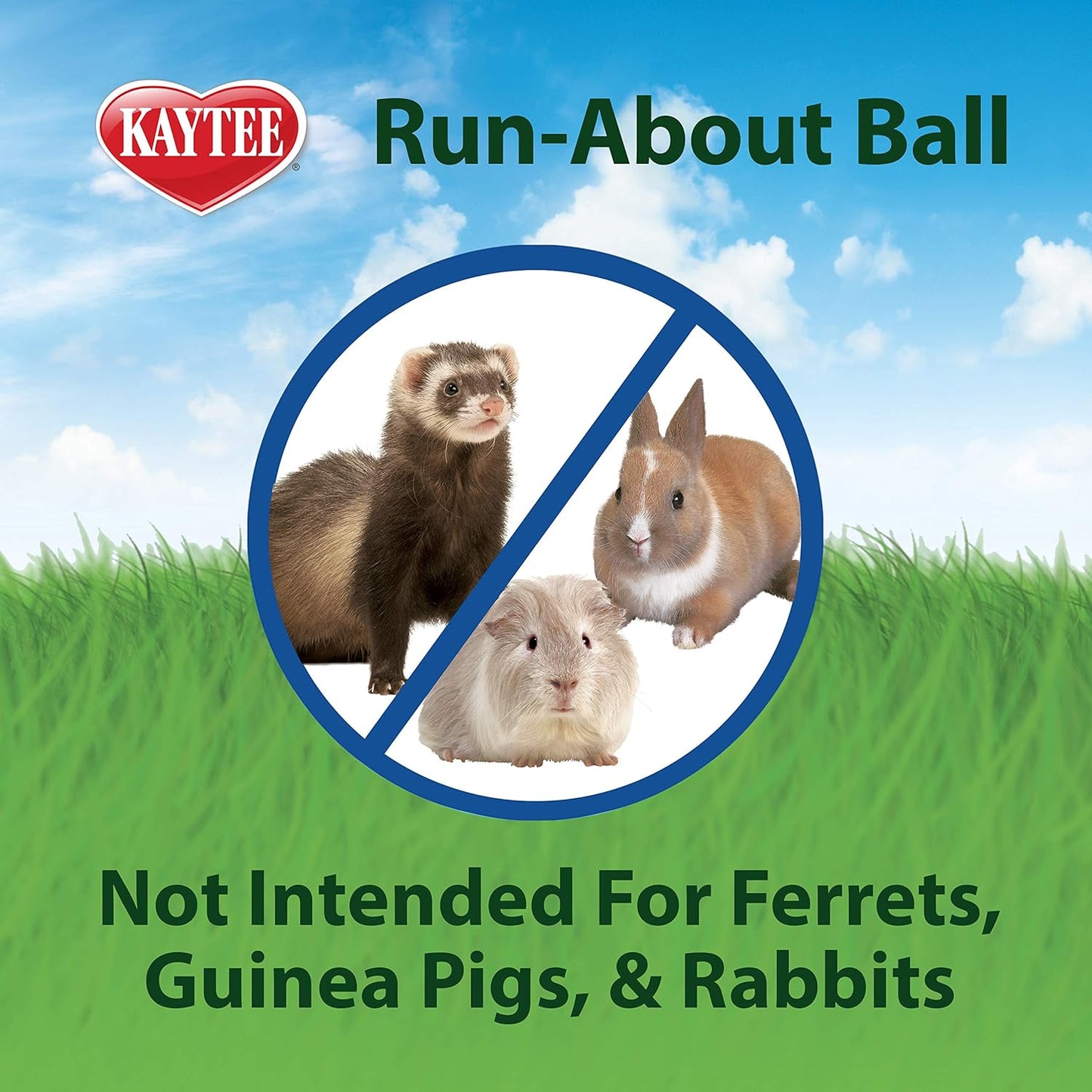 Clear Hamster Exercise Ball 7-Inch – Safe & Durable Running Ball for Hamsters, Gerbils & Small Pets