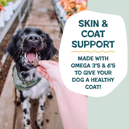 Soft-Baked Dog Treats - Natural & Healthy Dog Chews for Skin & Coat Support with Omega 3 & 6