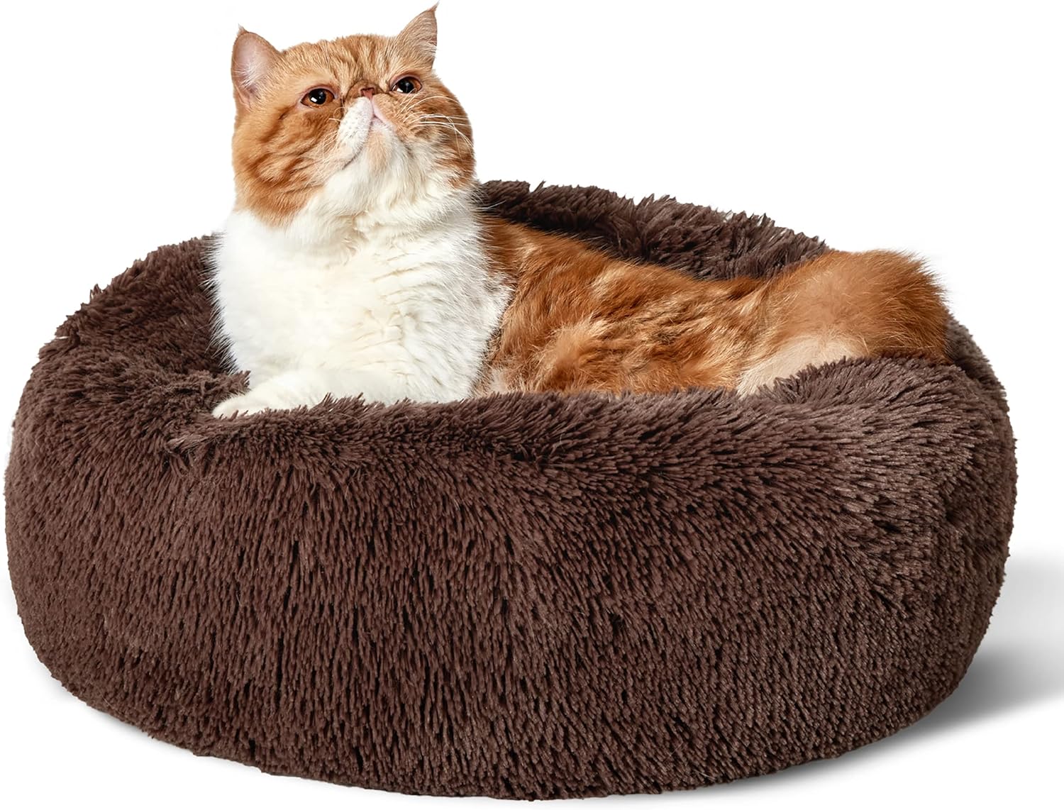 Calming Indoor Cat Bed – Round Fluffy Plush Faux Fur, Anti-Slip, Washable, 20-Inch Small Cat Bed for Cats Up to 15 lb