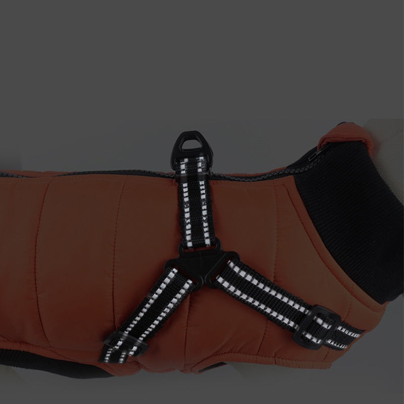Warm Cotton-Padded Dog Jacket – Autumn & Winter Thickened Pet Clothes
