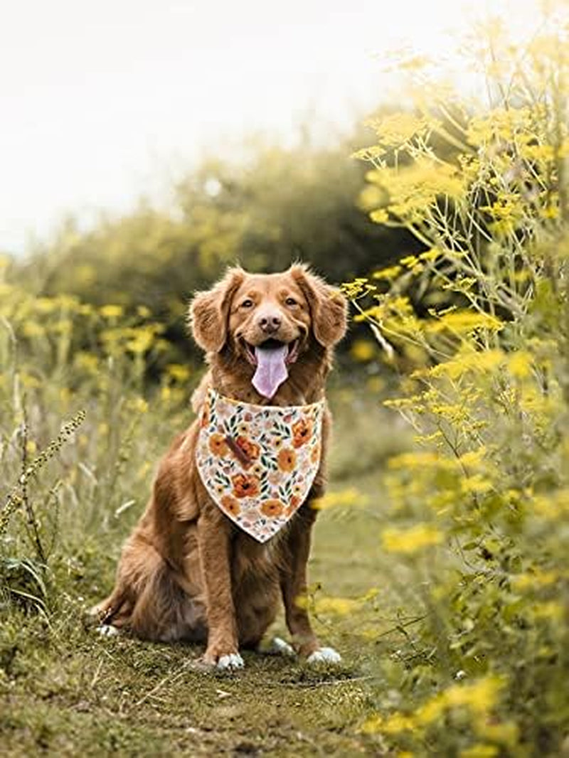 Floral Dog Bandana – Adjustable Washable Scarf for Medium & Large Dogs